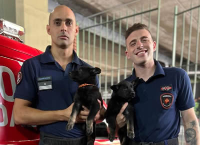 Bomberos