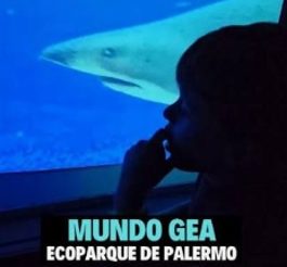 Mundo Gea